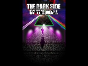 dark_side_2012